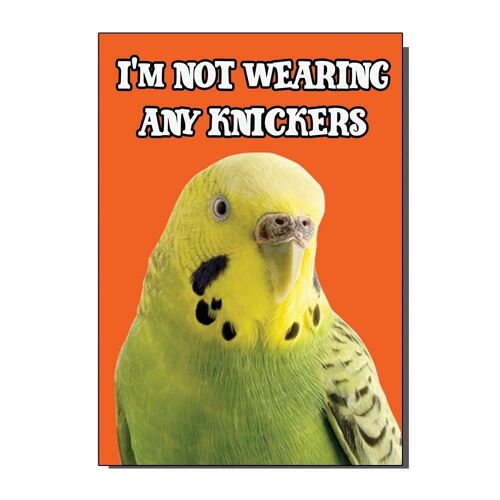 Funny Budgie Knickers Greetings Card