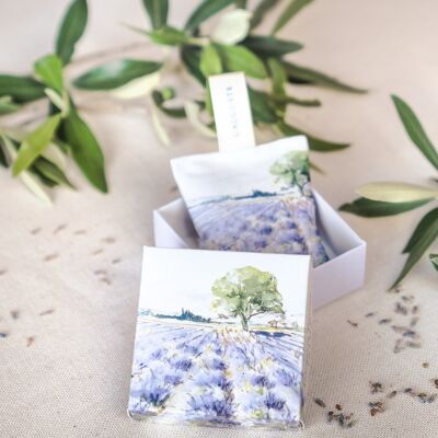 Sachet of organic lavender and matching box "Lavender"