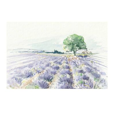 A5 Postkarte "Lavendel"