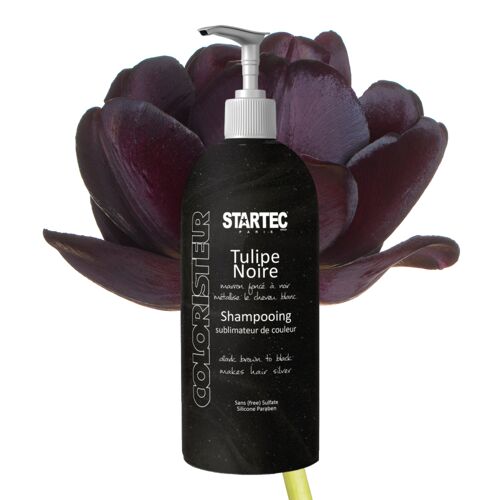 Shampoing Colorant Noir Intense