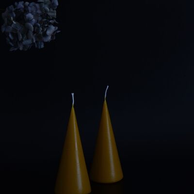 BEESWAX CONE