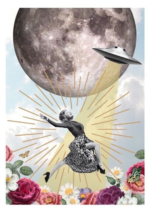 Poster Moondance
