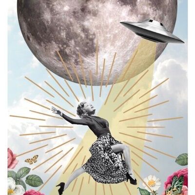 Plakat Moondance