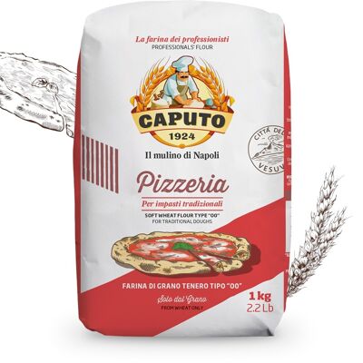 Pizzeria Caputo flour for traditional doughs