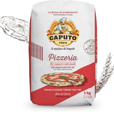 Pizzeria Caputo flour for traditional doughs