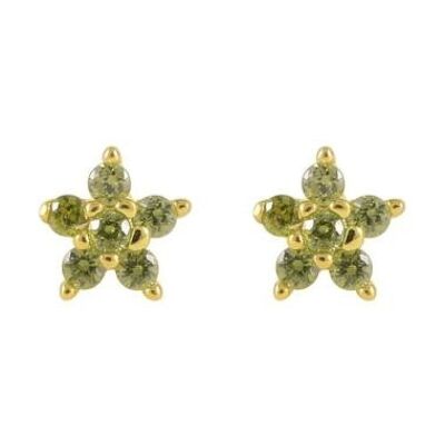 Pandare Earrings - Gold Plated - Olive