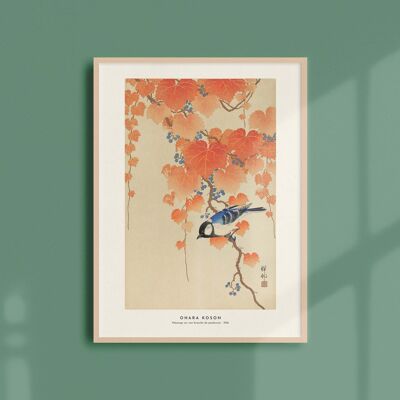 Poster 30x40 - Chickadee on a branch of paulownia