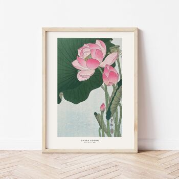 Affiche 30x40 - Fleurs de Lotus 2