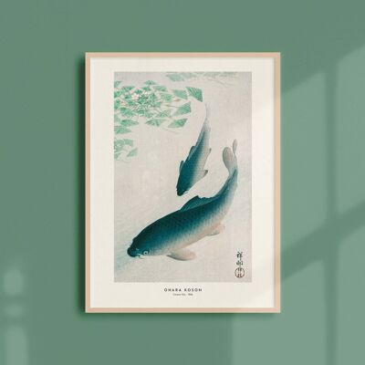 Poster 30x40 - Carpe Koi