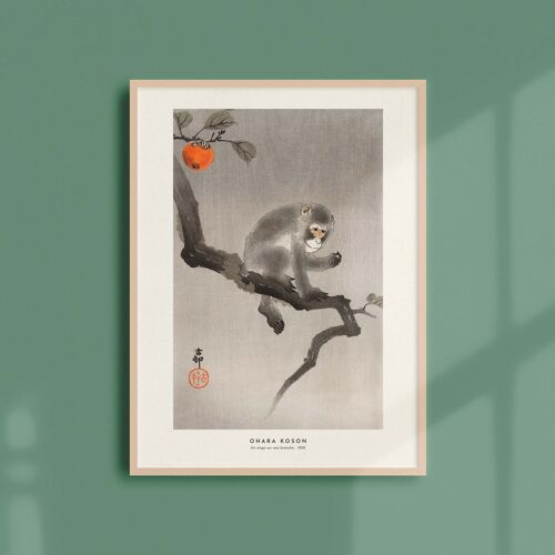 Affiche 30x40 - Un singe sur une branche