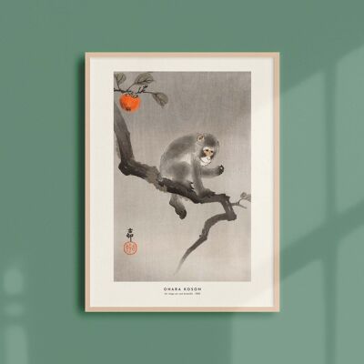 Poster 30x40 - Una scimmia su un ramo