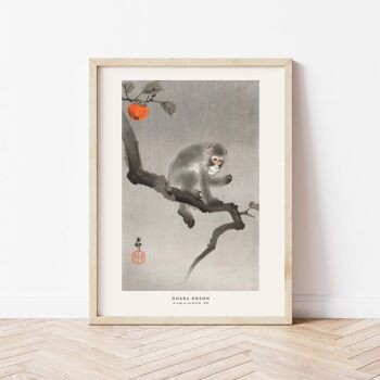 Affiche 30x40 - Un singe sur une branche 2