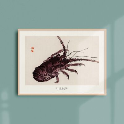 Poster 30x40 - Lobster