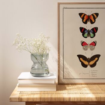 Affiche 21x30 - Papillons - Planche N°72 2