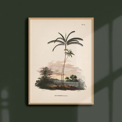 Poster 30x40 - Palm trees - Tab 28