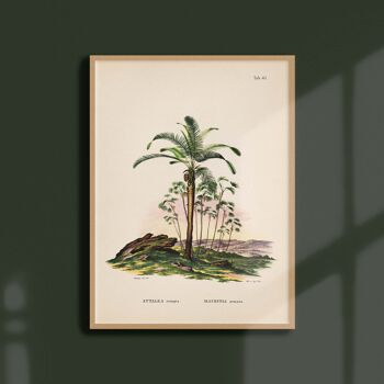 Affiche 30x40 - Palmiers - Tab 41 1
