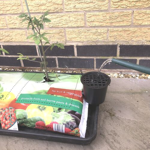 Speed Feed Complete Watering System 1pk