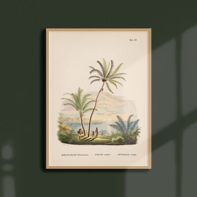 Affiche 30x40 - Palmiers - Tab 75
