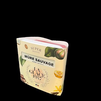 SORBET MURE SAUVAGE - 2,5litres