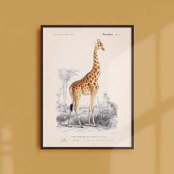 Affiche 30x40 - La girafe 1