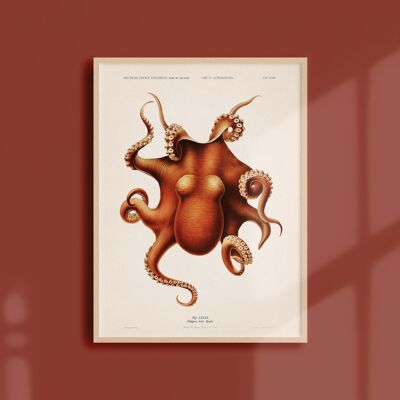 Poster 21x30 - The octopus