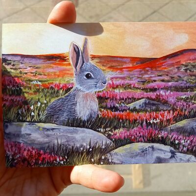 Postal conejos en el brezal Tarjeta de Pascua DIN A6 10 piezas