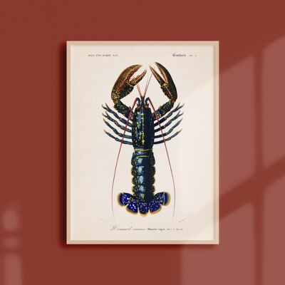 Affiche 21x30 - Le homard