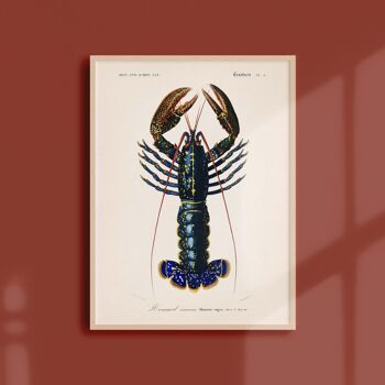 Affiche 21x30 - Le homard 1