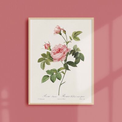 Poster 21x30 - Turbine Rose without thorns