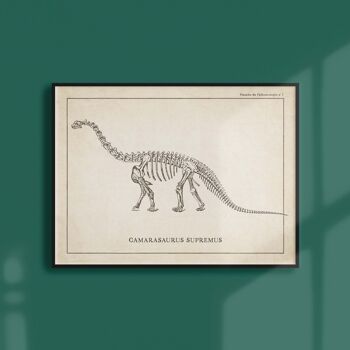 Affiche 21x30 - Squelette de Camarasaurus 1