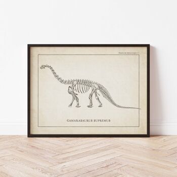 Affiche 21x30 - Squelette de Camarasaurus 2