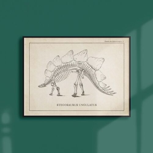 Affiche 21x30 - Squelette de Stegosaure