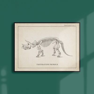 Poster 21x30 - Scheletro di Triceratopo