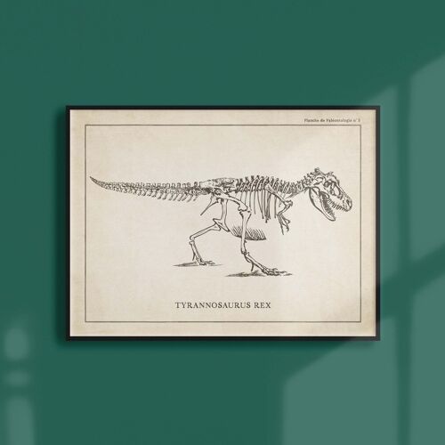 Affiche 21x30 - Squelette de T-Rex