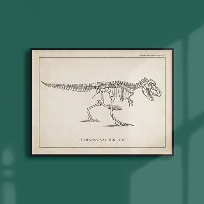 Affiche 21x30 - Squelette de T-Rex