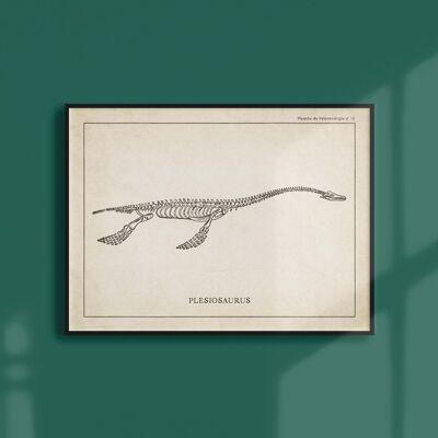 Poster 21x30 - Skelett des Plesiosauriers