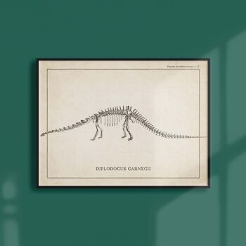 Affiche 21x30 - Squelette de Diplodocus 1