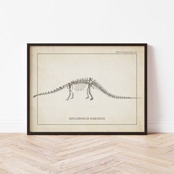 Affiche 21x30 - Squelette de Diplodocus 2