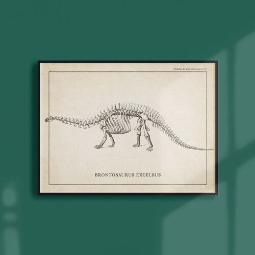 Affiche 21x30 - Squelette de Brontosaure