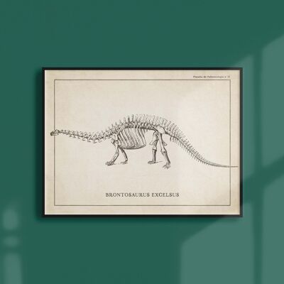 Poster 21x30 - Scheletro di Brontosauro