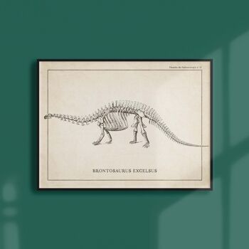 Affiche 21x30 - Squelette de Brontosaure 1