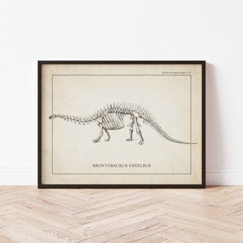 Affiche 21x30 - Squelette de Brontosaure 2