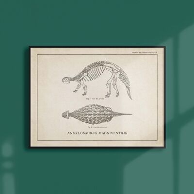 Affiche 21x30 - Squelette d'Ankylosaure