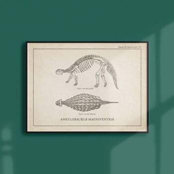 Affiche 21x30 - Squelette d'Ankylosaure 1
