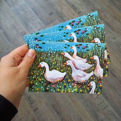 Postcard flock of geese spring country house Din A6 10 pieces