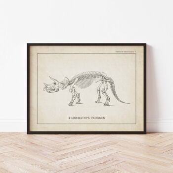 Affiche 30x40 - Squelette de Triceratops 2