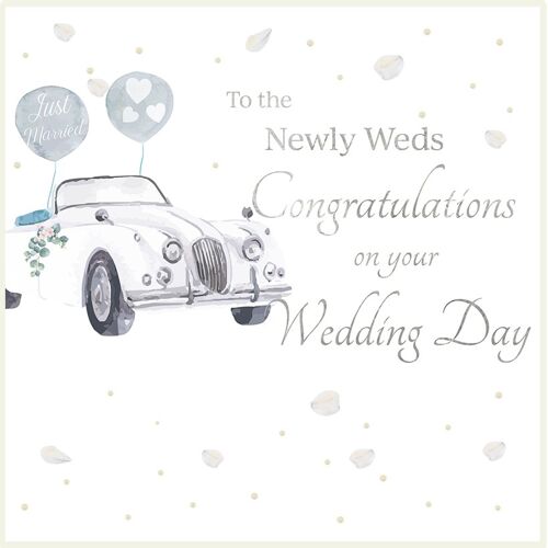 Wedding - Newly Weds Car
