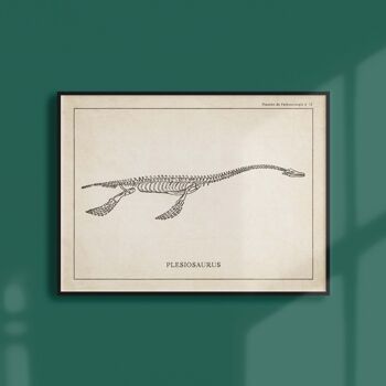 Affiche 30x40 - Squelette de Plesiosaure 1