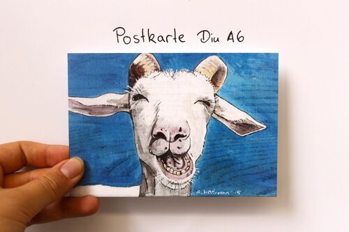 Postkarte lachende Ziege Din A6 10 Stück