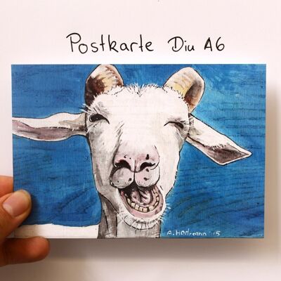Postal cabra riendo Din A6 10 piezas